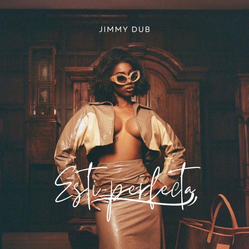 Jimmy Dub - Esti Perfecta