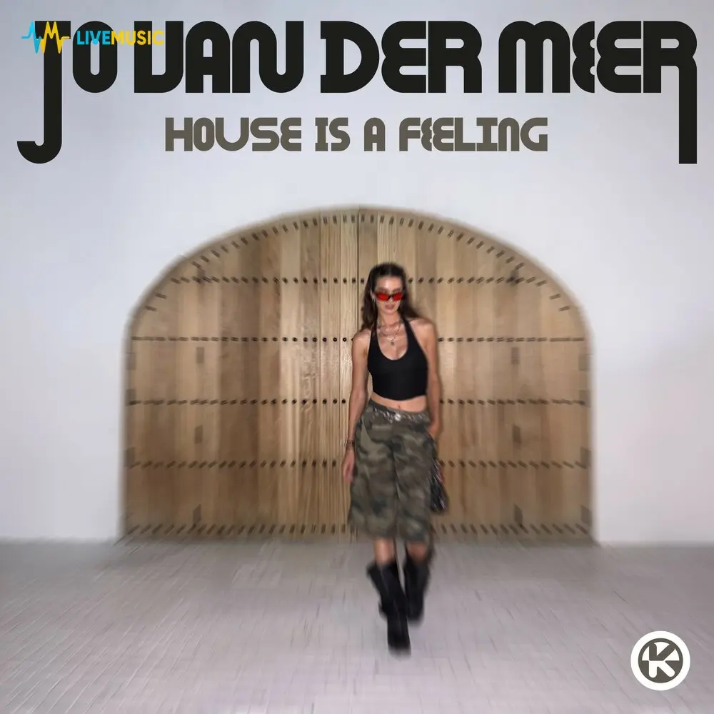 House Is a Feeling (Extended Mix) - Jo van der Meer