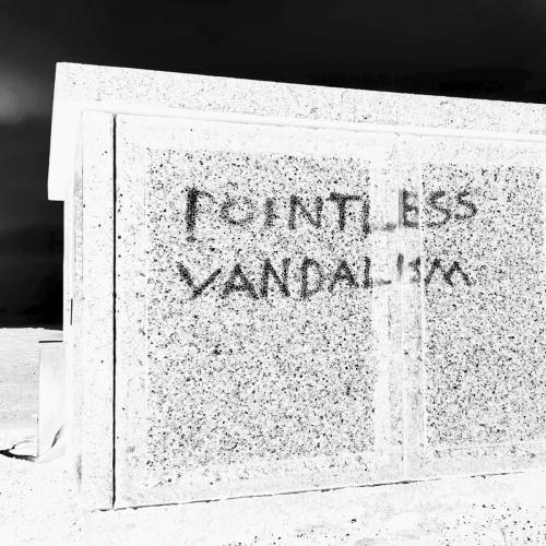 Joe & The Shitboys - POINTLESS VANDALIST