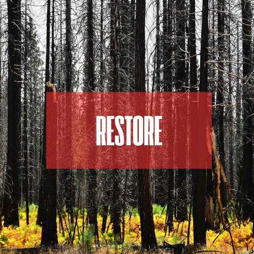John Dahlbäck - Restore