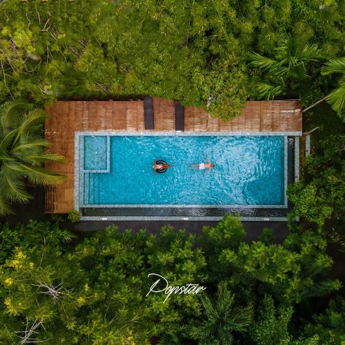 John Wolfcub & UNKLFNKL - Popstar