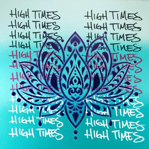 Johnny Cosmic, Shwayze & Surfer Girl - High Times