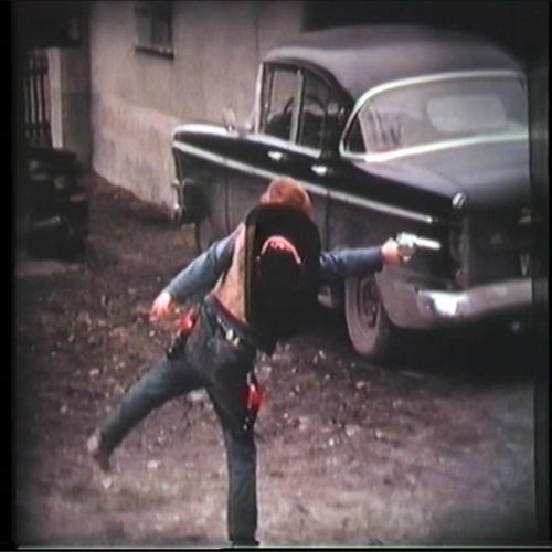 Johnny Indigo - Pink Flamingos