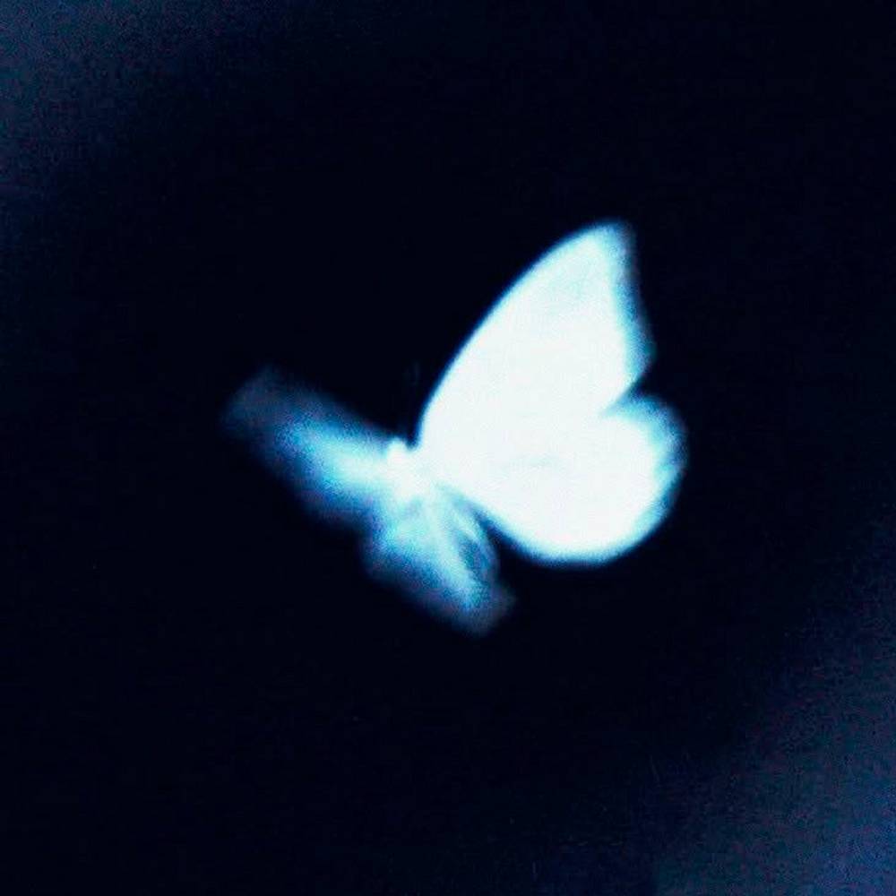 Translate My Heart - JOINTMANE