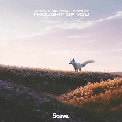 Joyfox feat. Nightfall District - Thought Of You