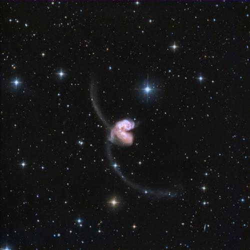 julieta kopp - Antares