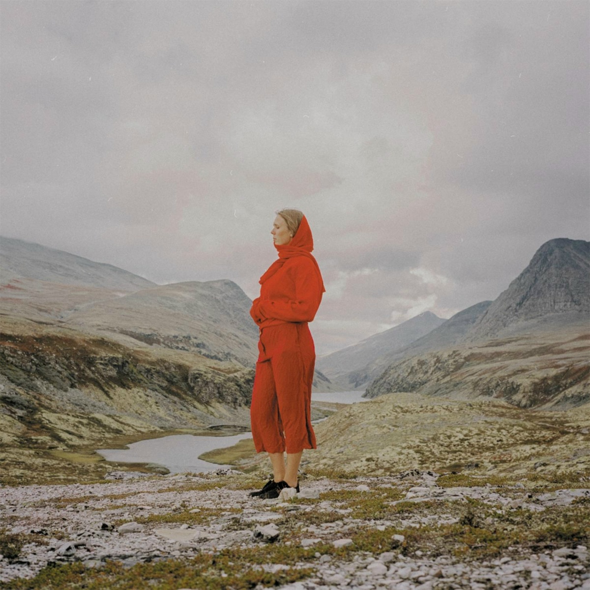 Evergreen In Your Mind - Juni Habel