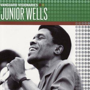 Junior Wells' Chicago Blues Band - Messin' With The Kid