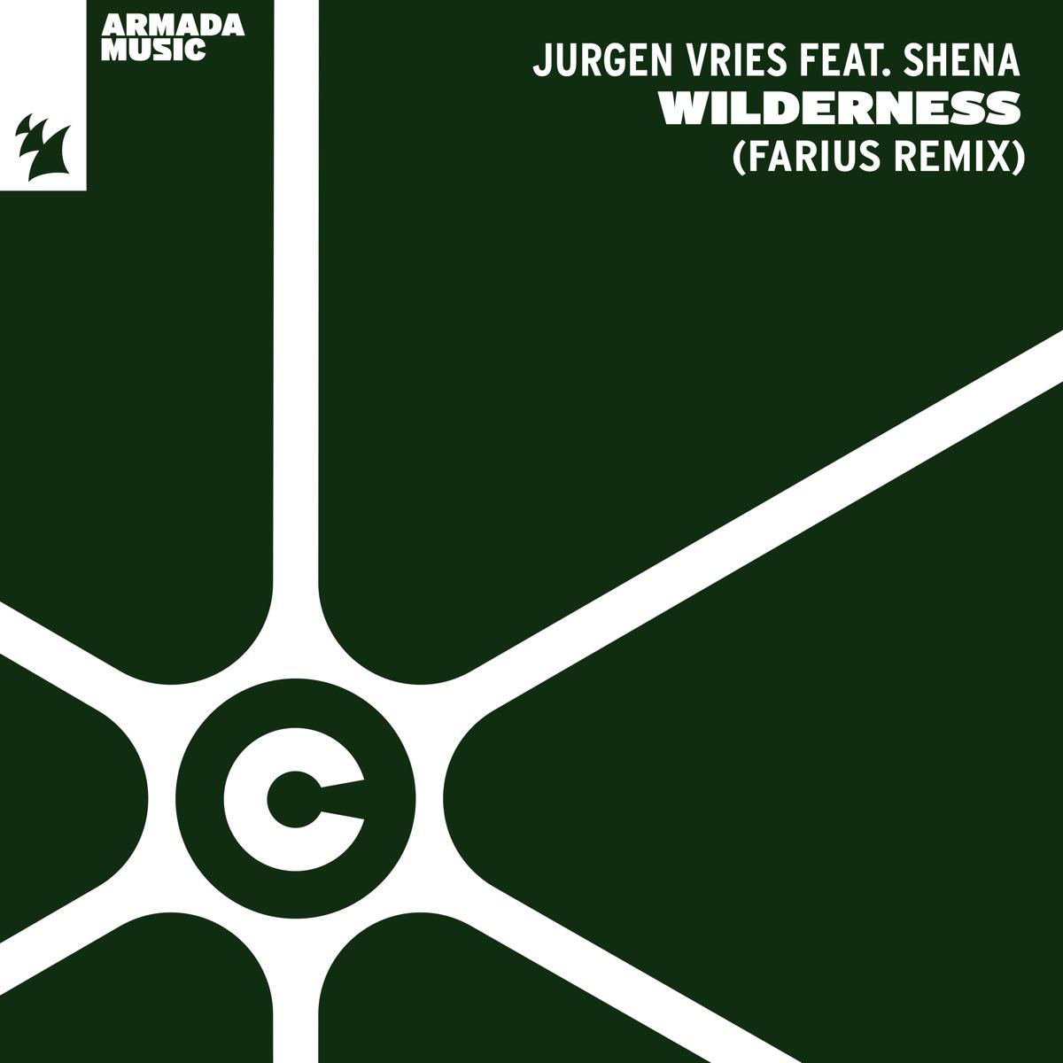 Wilderness (feat. Shena) [Farius Remix] - Jurgen Vries