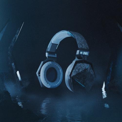 K-391 - Digital Strangers