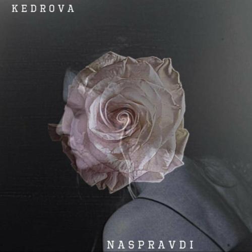 K.E.D.R.O.V.A - Vsesvit