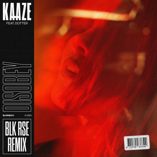 Kaaze & Dotter - Disobey (Blk Rse Remix)