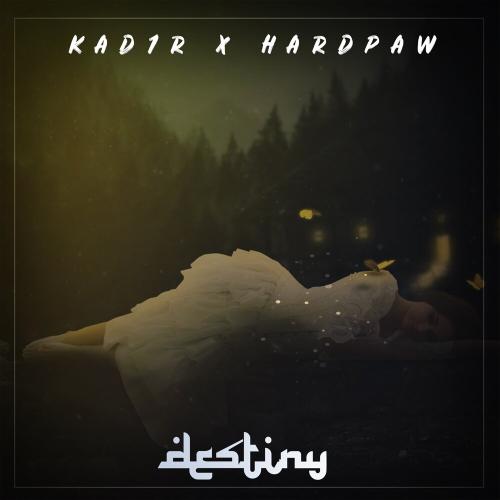 Kad1r, HardPaw - Destiny