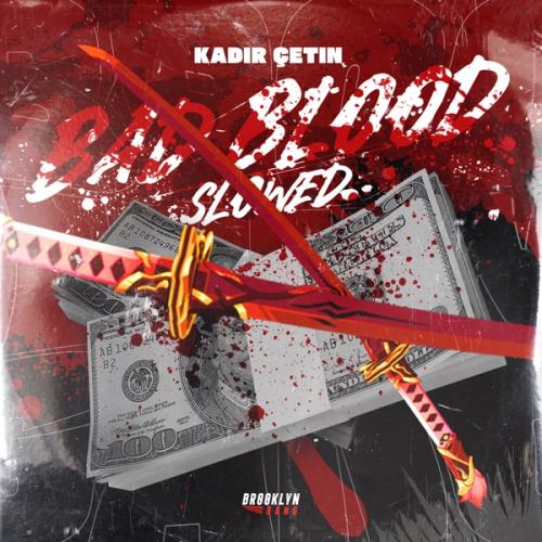 Kadir Çetin - Bad Blood (Slowed)