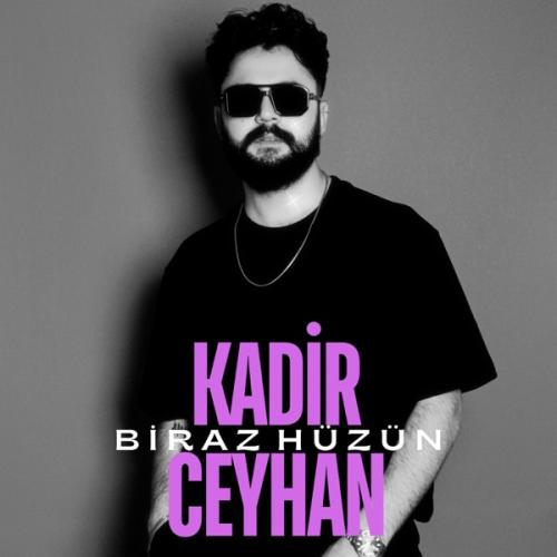 Öyle Bi Gülmüştün - Kadir Ceyhan
