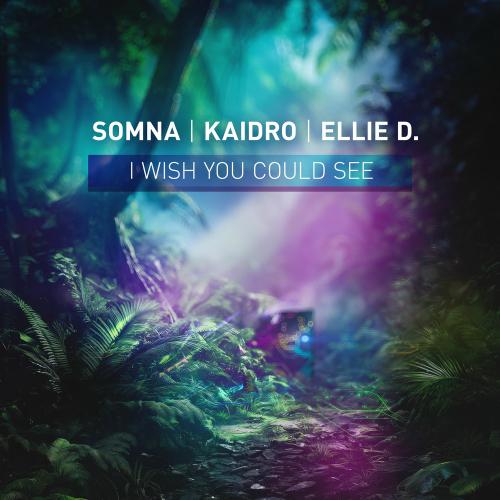 Kaidro & Ellie D. feat. Somna - I Wish You Could See (Extended Mix)