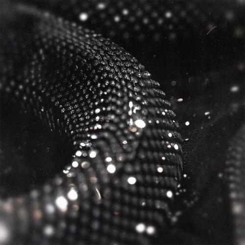 Блеск - Kaii Raw
