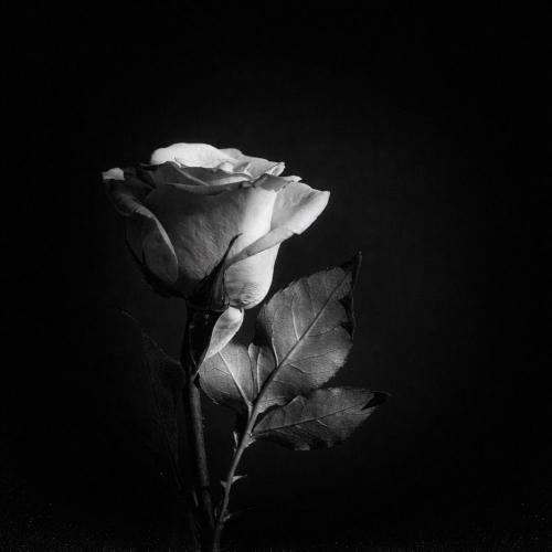 KaiRen - Sana Kalbim Geçti