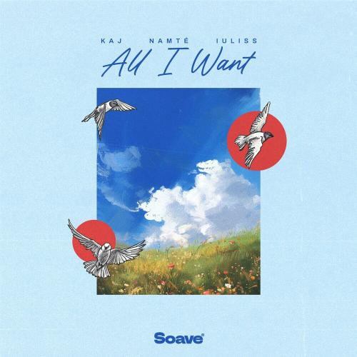Kaj feat. Namte & Iuliss - All I Want