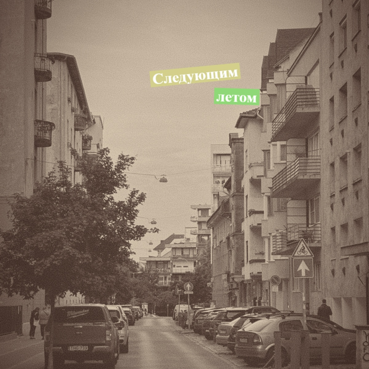 Следующим летом - Кактус Вандерлуст