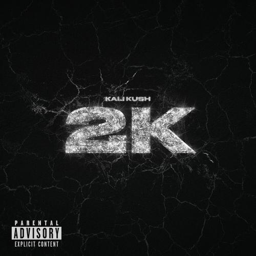 Kali x Malcolm Kush feat. Скриптонит - 223