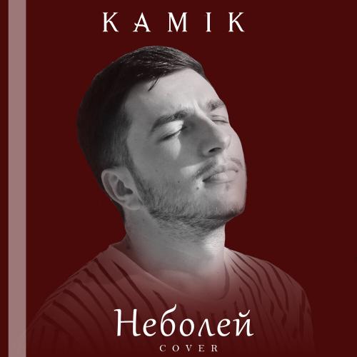 kamik - не болей (cover)