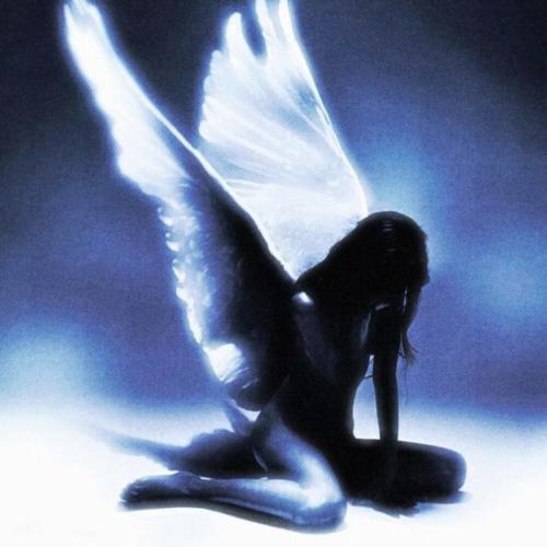 KAMRIK, Nina - Angels