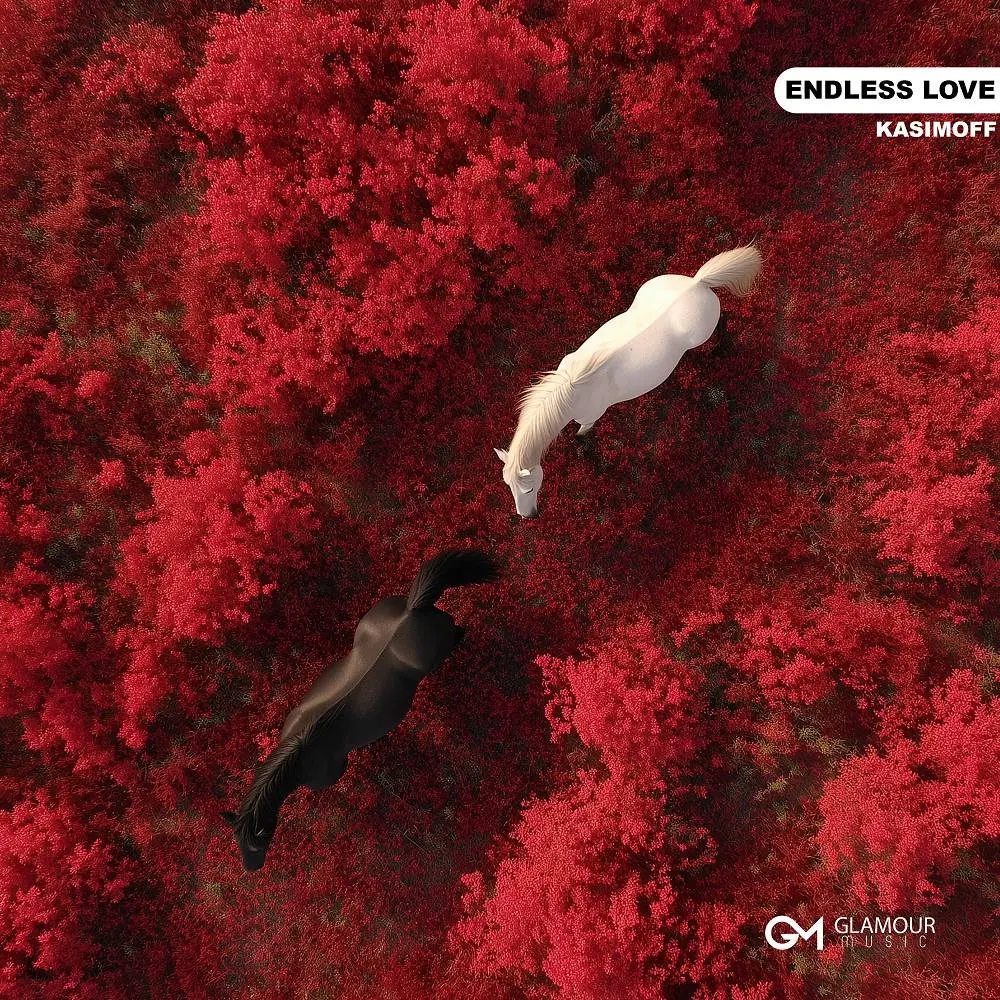 Endless Love - KASIMOFF