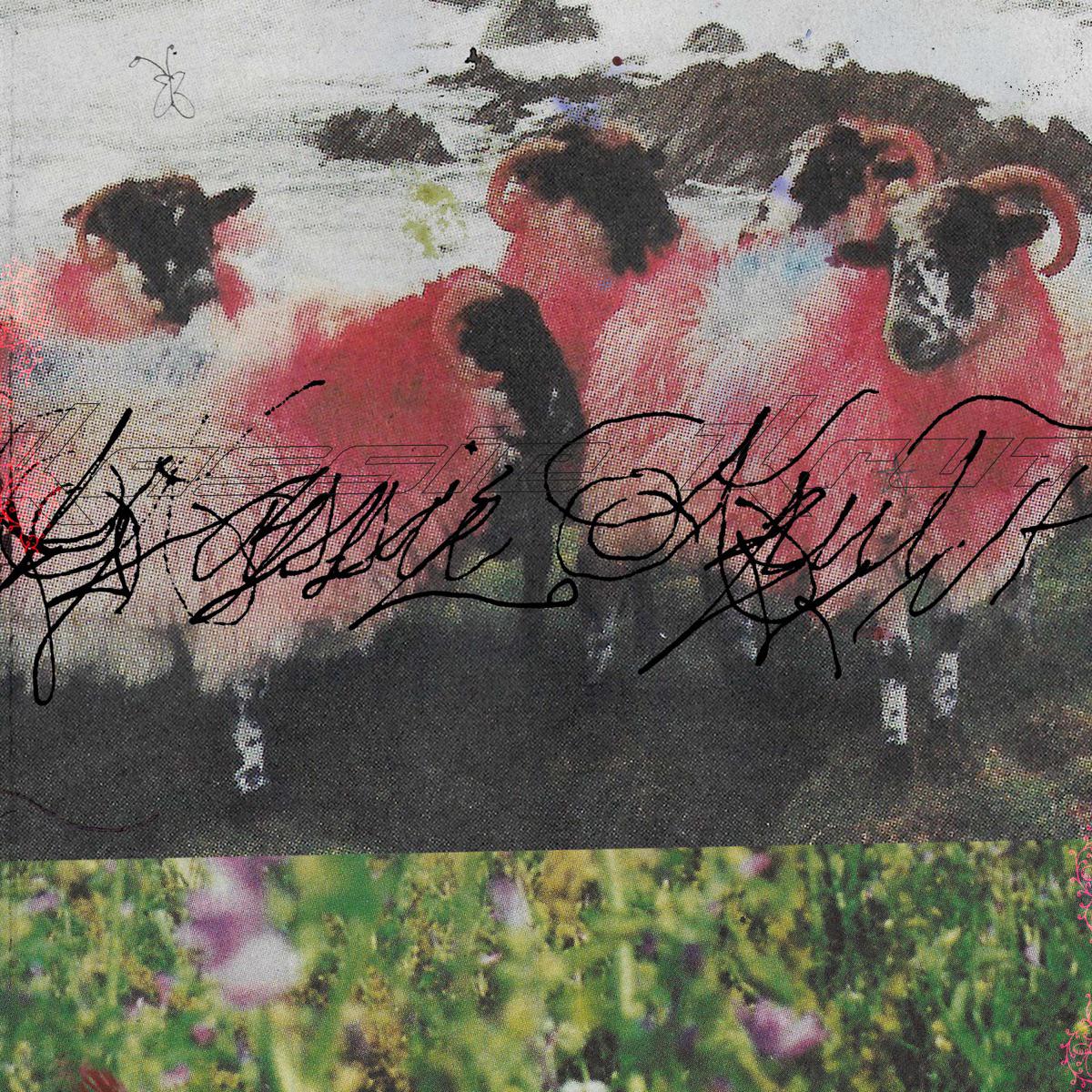 Hooh Beat (Panda Bear Remix) - Kassie Krut