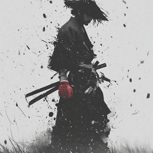 Ronin - КАТРАН