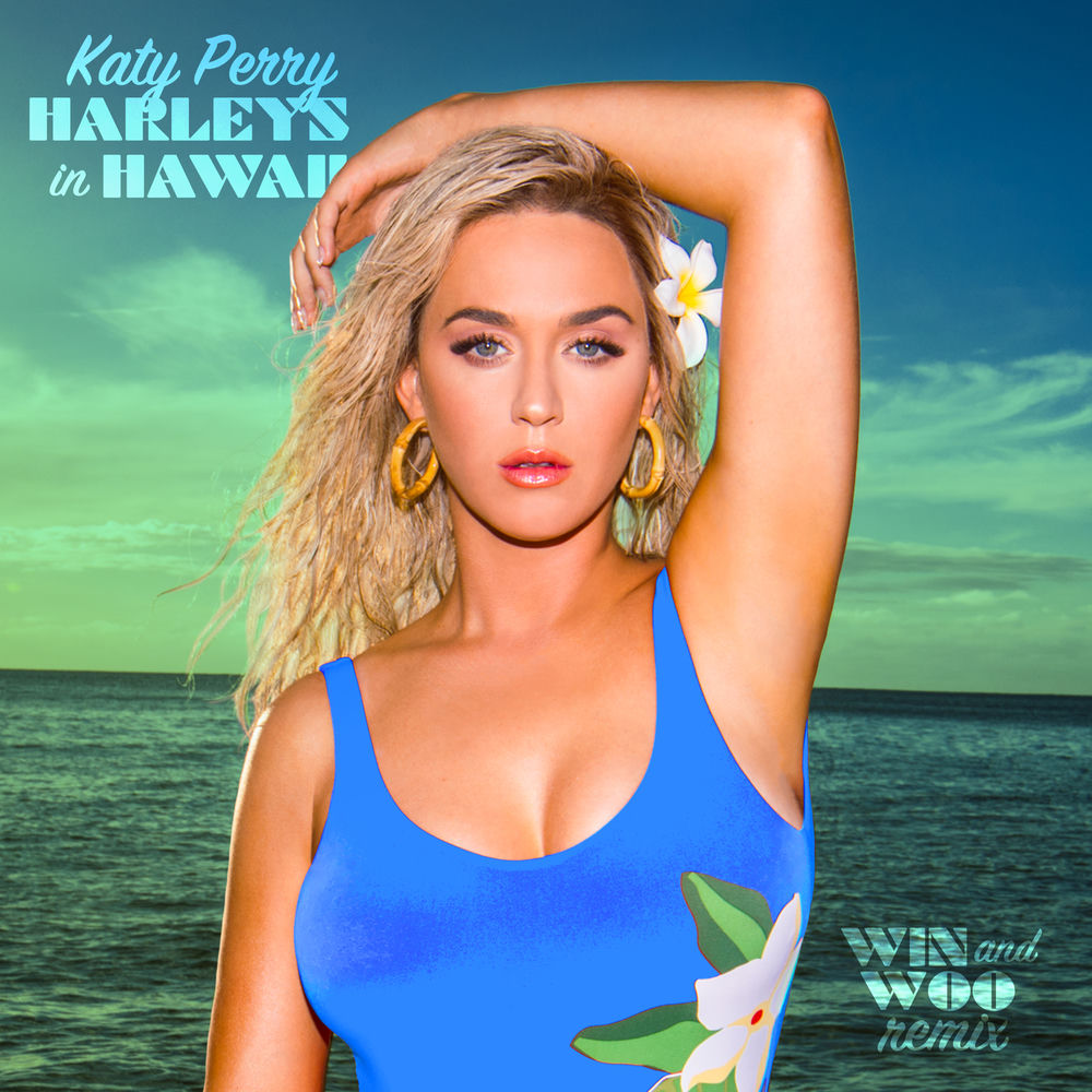 Harleys In Hawaii (Win And Woo Remix) - Katy Perry & Win and Woo