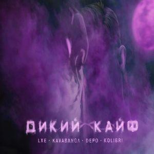 LXE & Kavabanga Depo Kolibri - Дикий Кайф