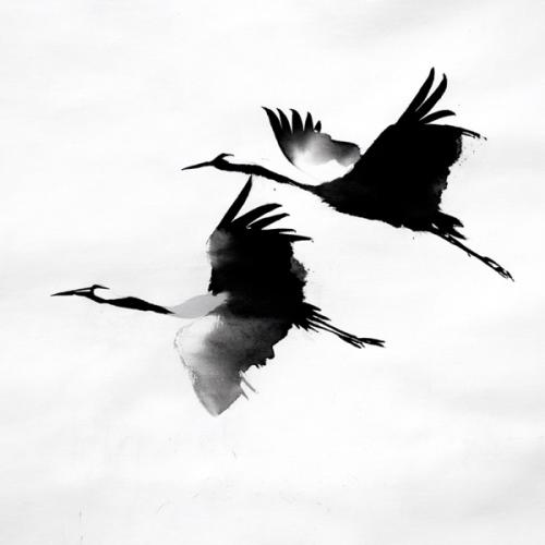 Журавлі - kavabanga Depo kolibri