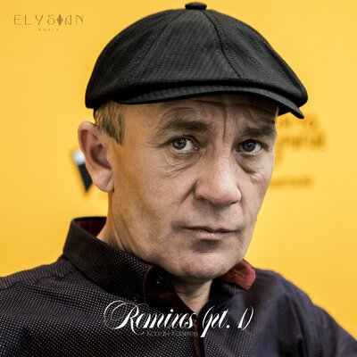Скрипач RDLV & Dimusik Remix - Казан Казиев