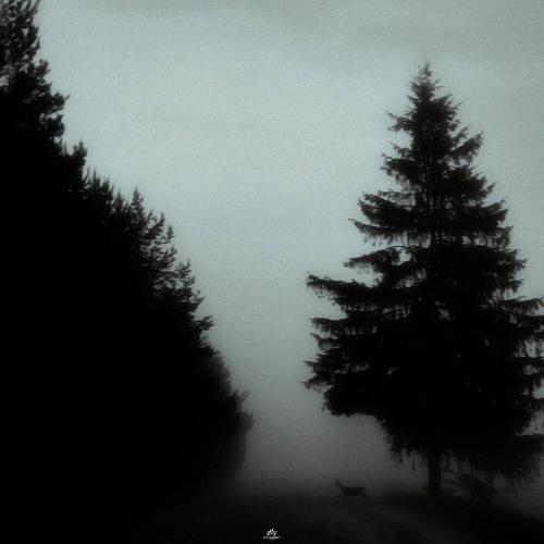 keelse - Воспоминания