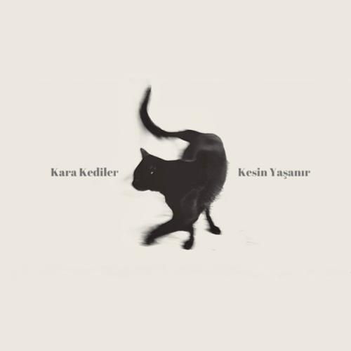 Kara Kediler - Kesin Yaşanır