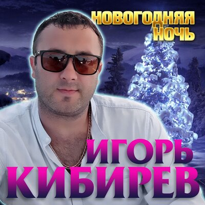 Новогодняя ночь - Кибирев Игорь