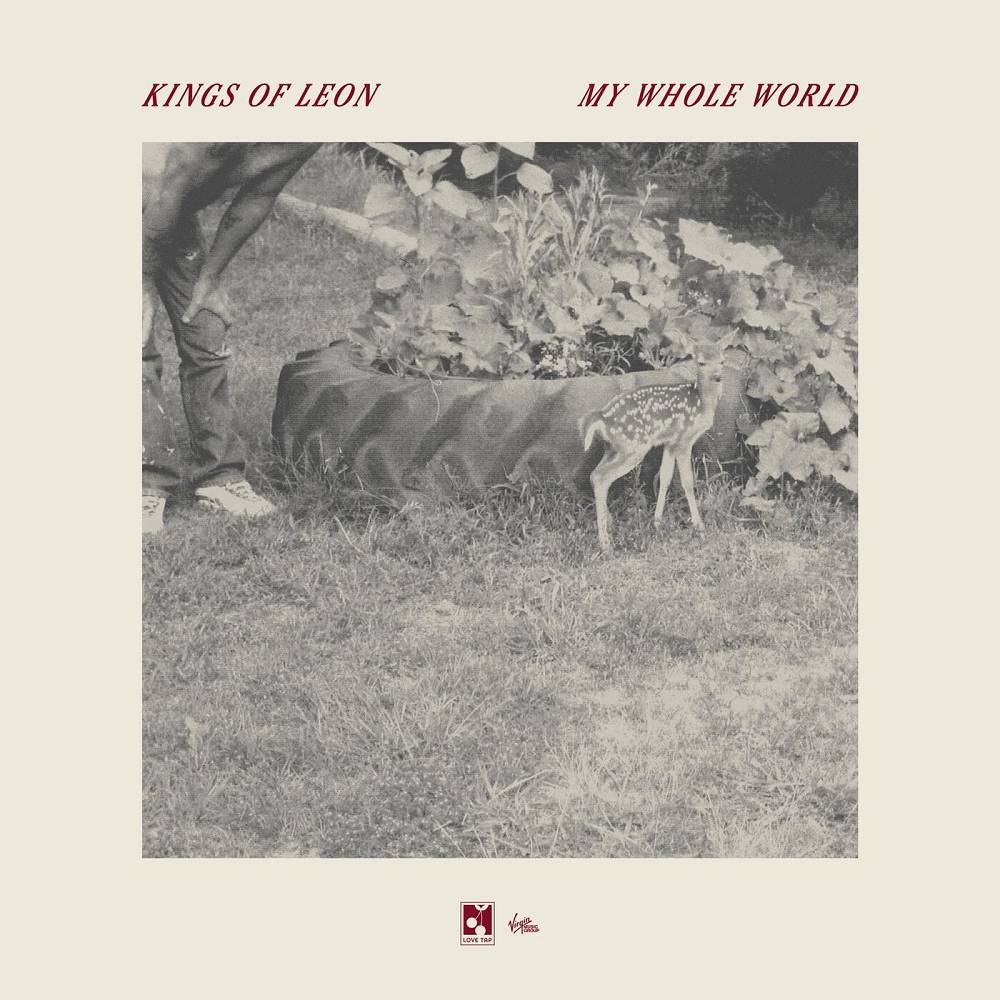 My Whole World - Kings of Leon