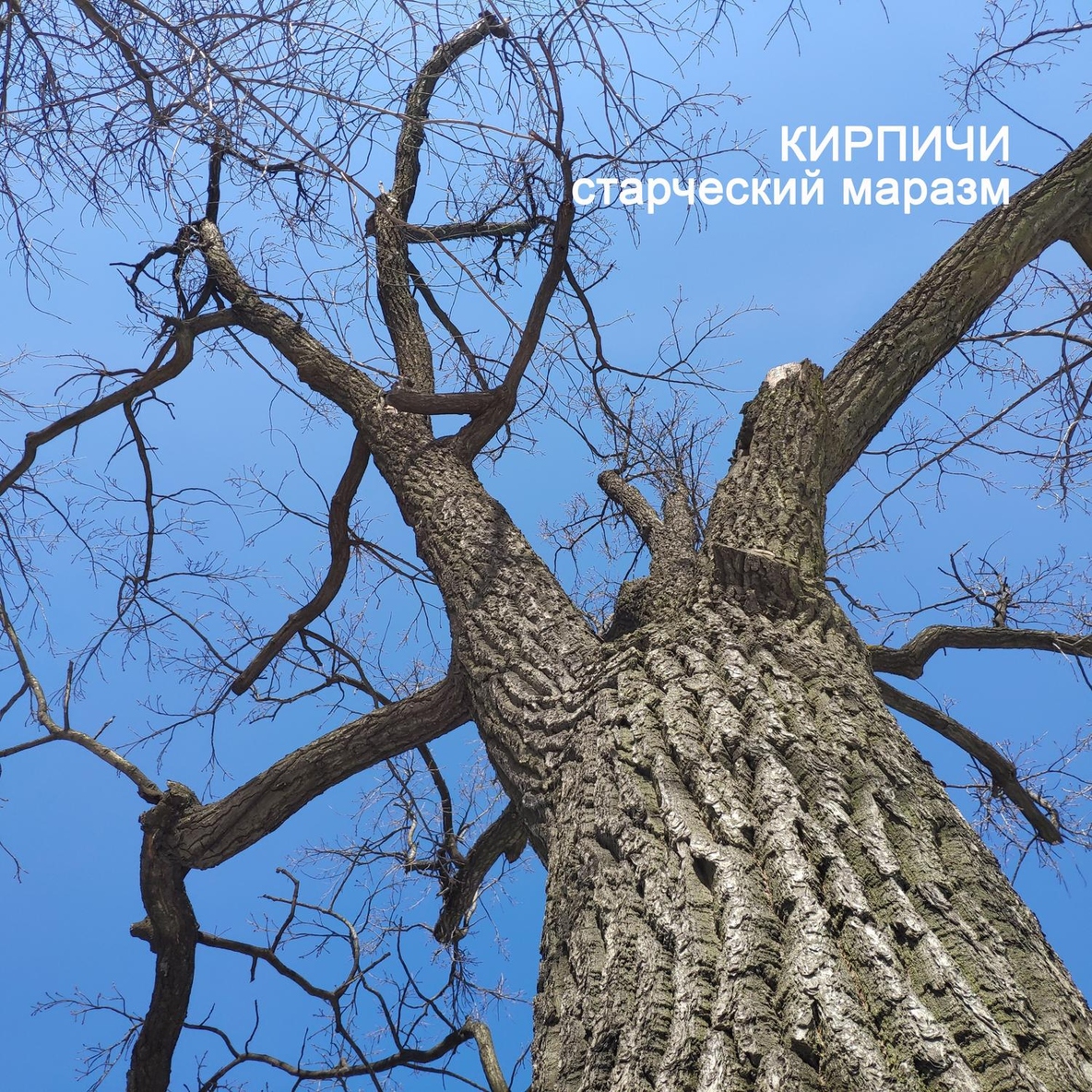 Только для тебя - Кирпичи feat. Найк Борзов