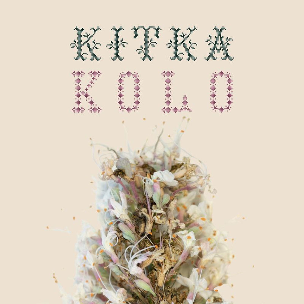 Gelino - Kitka