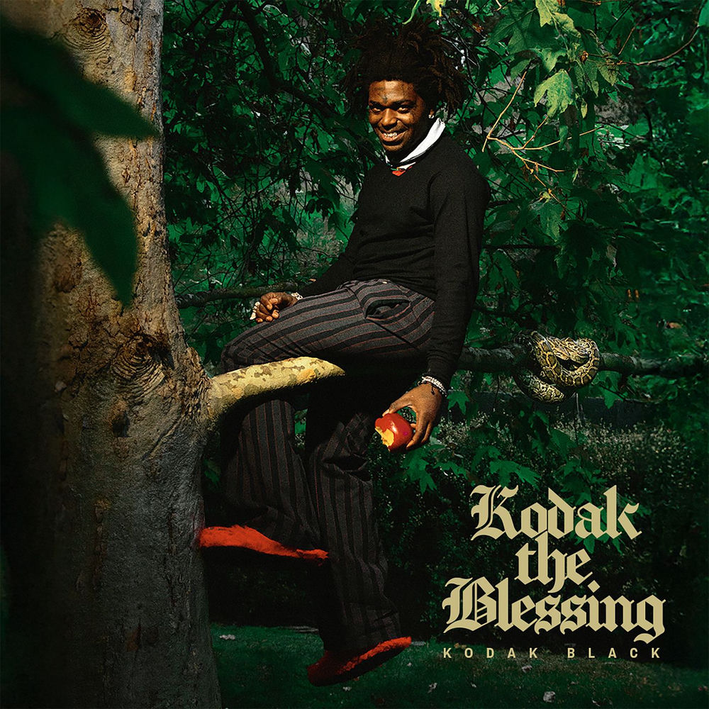 Kodak Black - Running It Up
