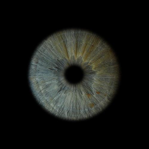 KOFE - Перезагрузка