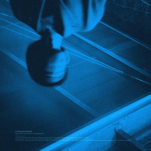 Kopkov, peacefulisac - unnamed