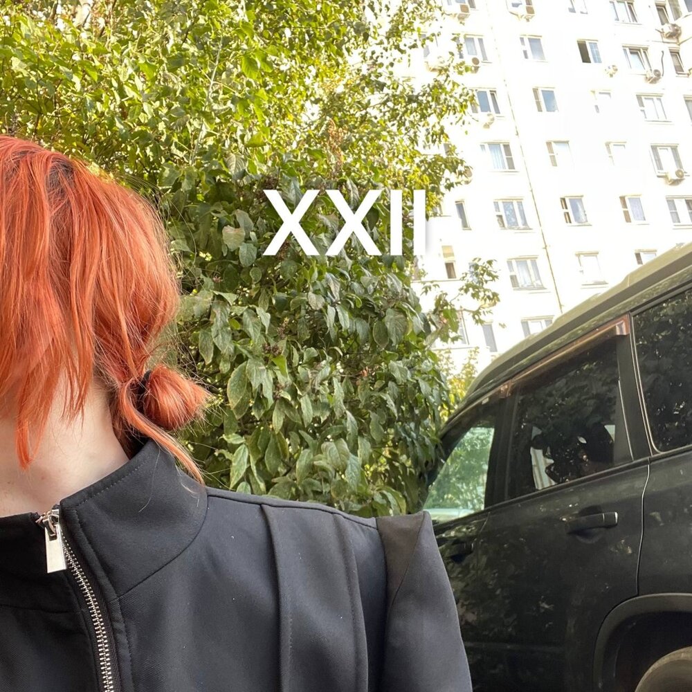 1,5 - королевский XVII