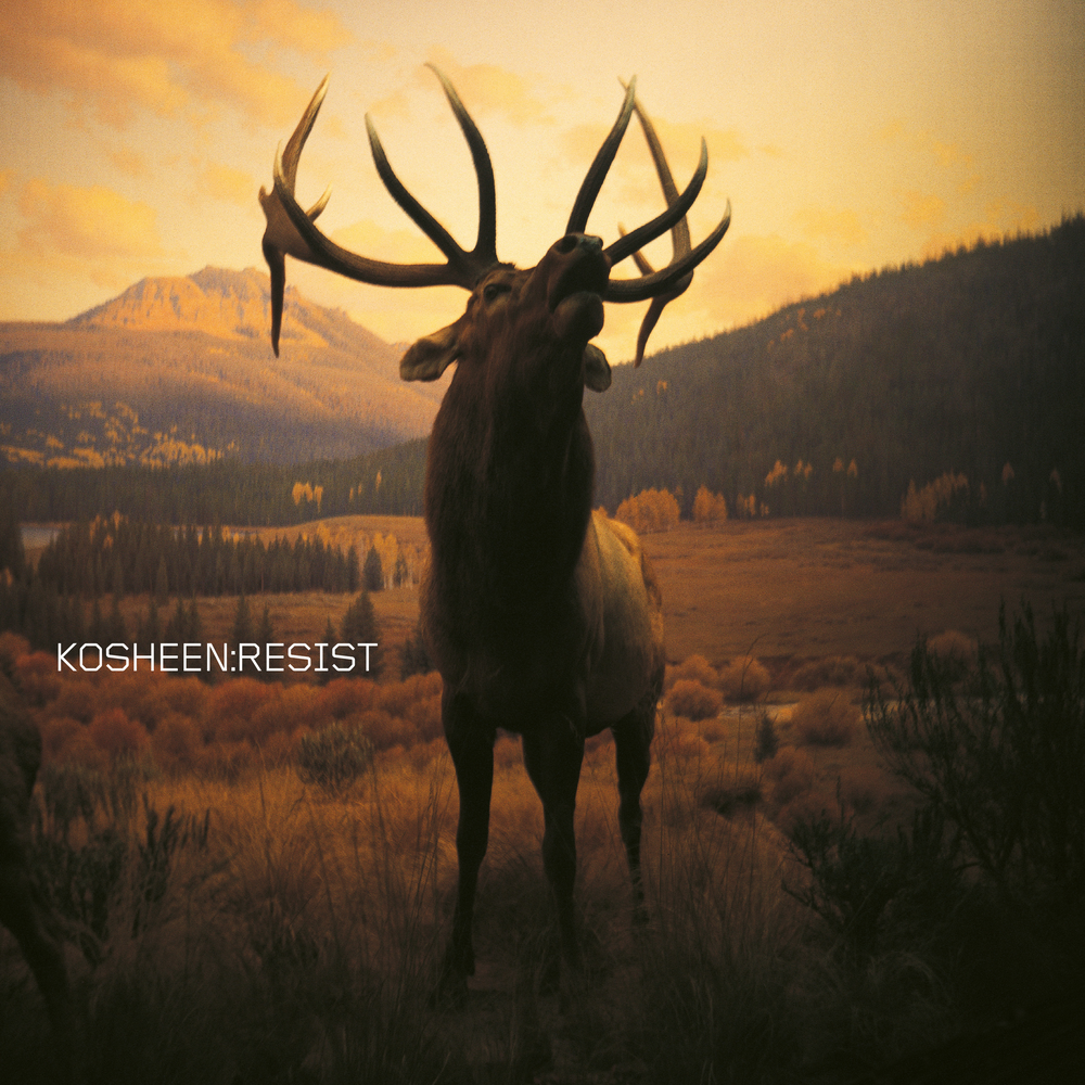 Catch (2021 Remaster) - Kosheen
