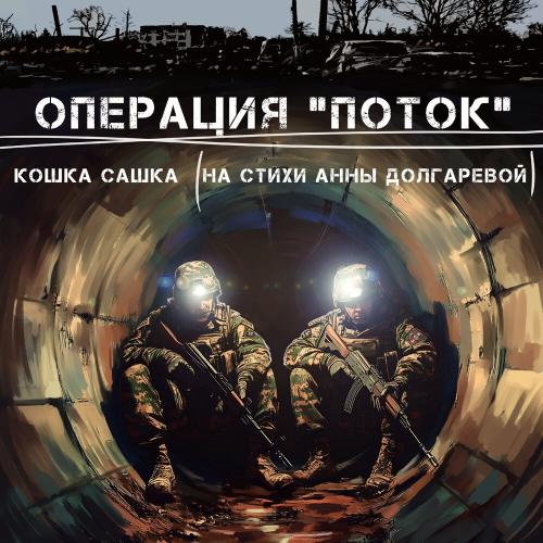 Кошка Сашка - Операция -Поток- (На стихи Анны Долгаревой)