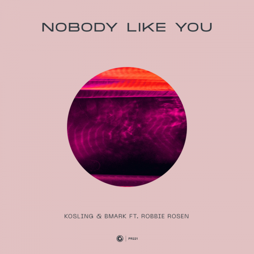 Nobody Like You - Kosling & Bmark feat. Robbie Rosen