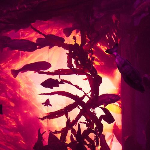 KOVII, BAGUROV - FIRE