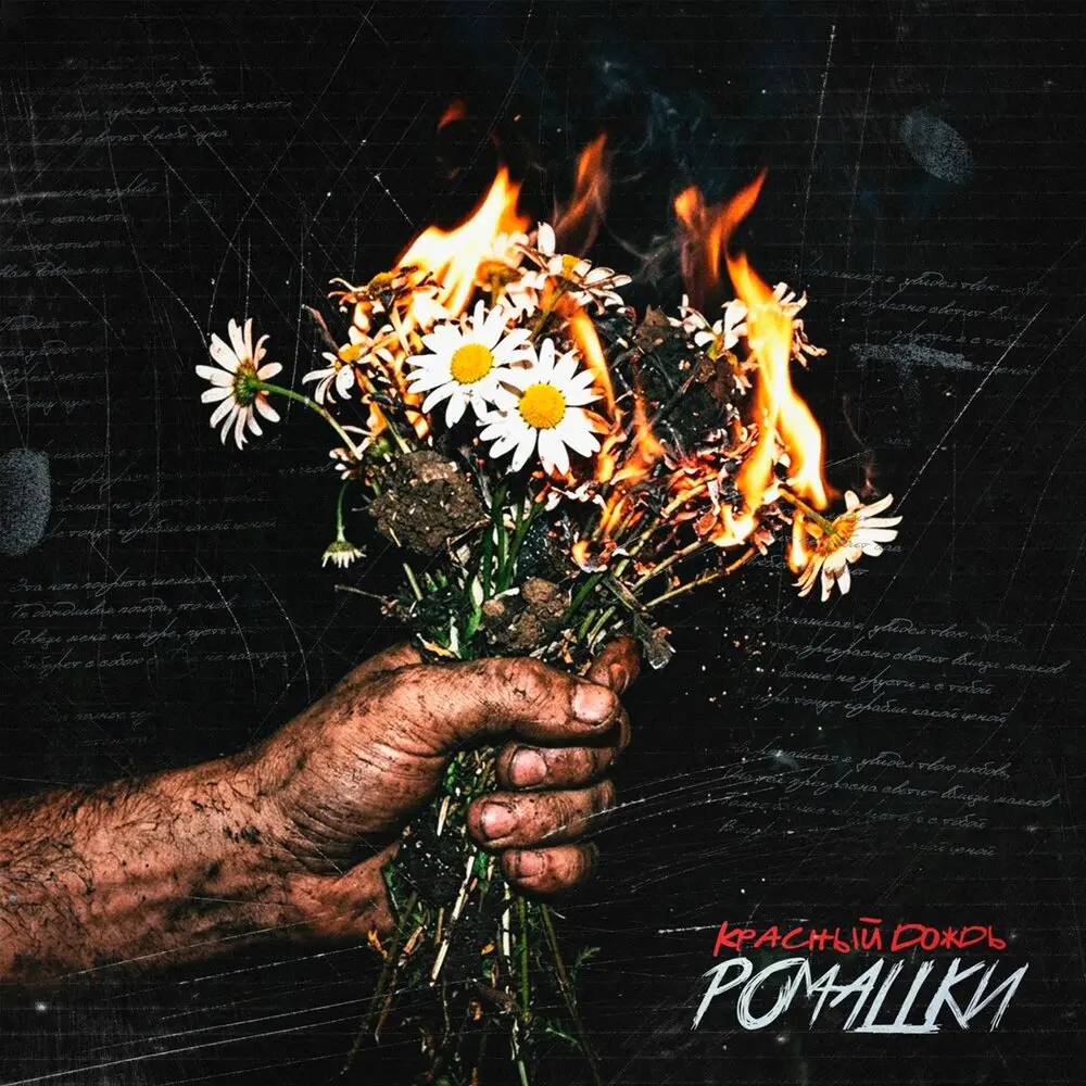 Ромашки - Красный Дождь