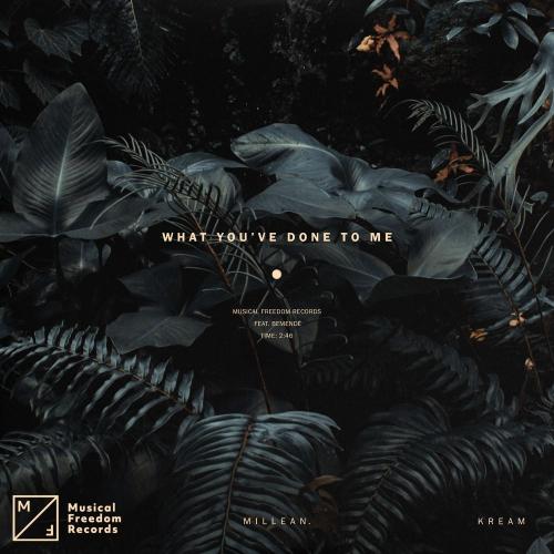 KREAM & Millean. feat. Bemendé - What You've Done To Me